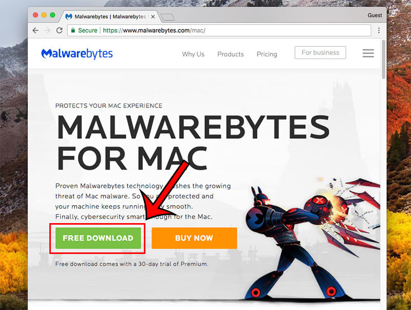 Anti malware mac free