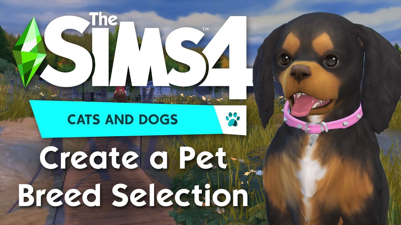 Download sims 4 cats and dogs free mac